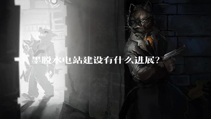 墨脱水电站建设有什么进展？